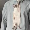 Кот Галстук Забавный Котёнок Узор Печатный Шарф Хороший Кот Ошейник Нишевый Бант-галстук