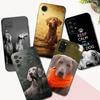 Черный ТПУ чехол для Samsung galaxy M53 M13 M62 A12 A22 A22S A32 A42 A52 A52S A72 4g 5g A20S веймаранер