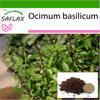 Thai Basil - 200 Seeds - With Potting Substrate for Better Cultivation - Ocimum Basilicum