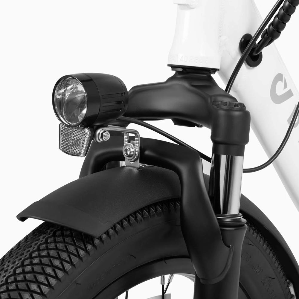 DYU C9 20"Home Multi-functional Folding Electric bike with Fat Tire,250W,removable battery,front and rear dual disc brakes,assisted range up to 95km.
