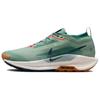 New React Pegasus Trail 5 Gore Tex Jade Horizon