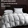 Thickened 95% White Goose Down Quilt Comfortable and Breathable Duvet Ideal Gift for Students Winter Cotton Thick Quilt Core