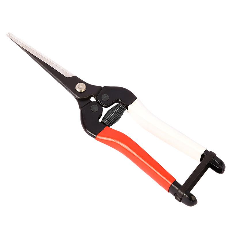 SK5 Steel Sharp Blade Point Head Garden Scissors Flowers Pruner Fruit Branch Pruning Tool Cutter For Bonsai Plants