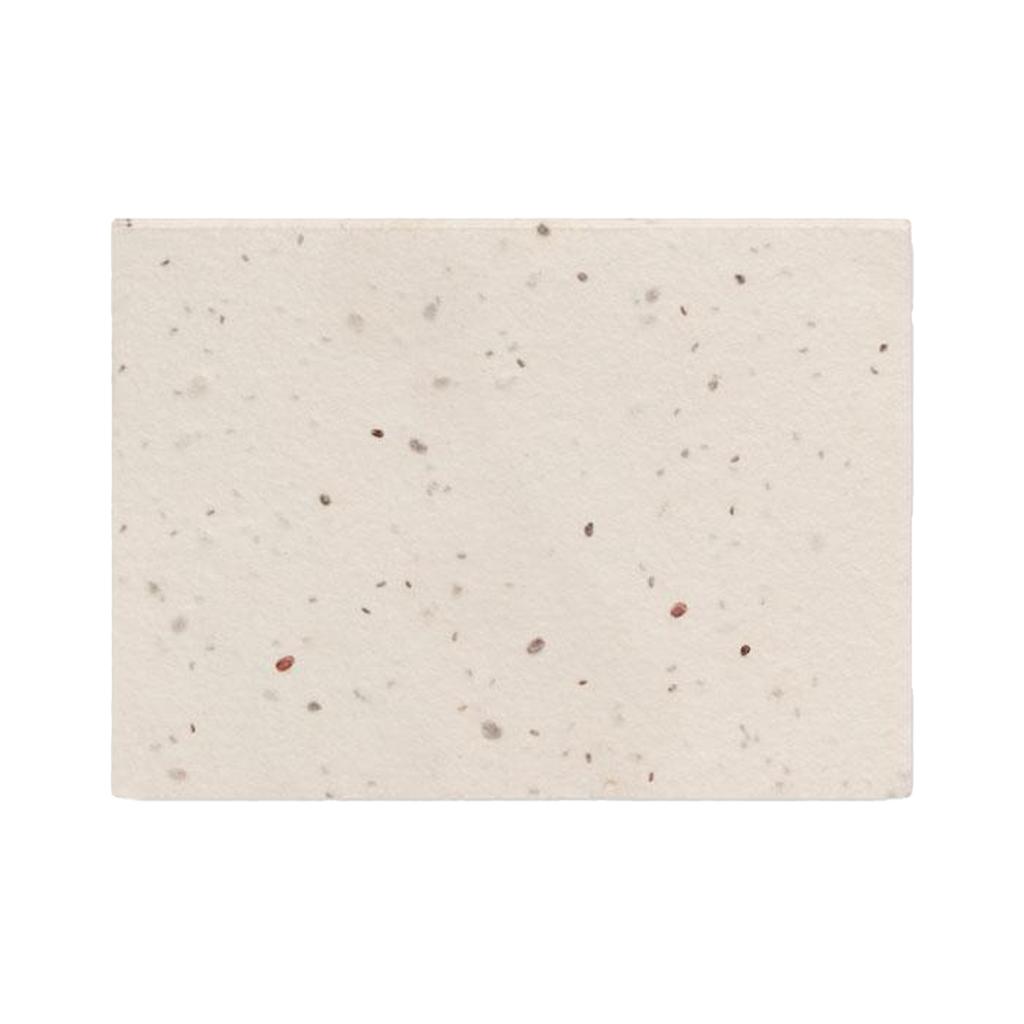 MidOcean Grow Me Seed Grass Paper Memo Pad