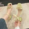 Square Head Thick Heel Outer Wear Internet Celebrity Word Belt Fashion High Heel Sandals Niche Skirt Versatile 2025 Summer and Autumn New