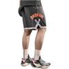 Баскетбольные шорты Li Ning Badfive Мужские Синие AAPU111-8