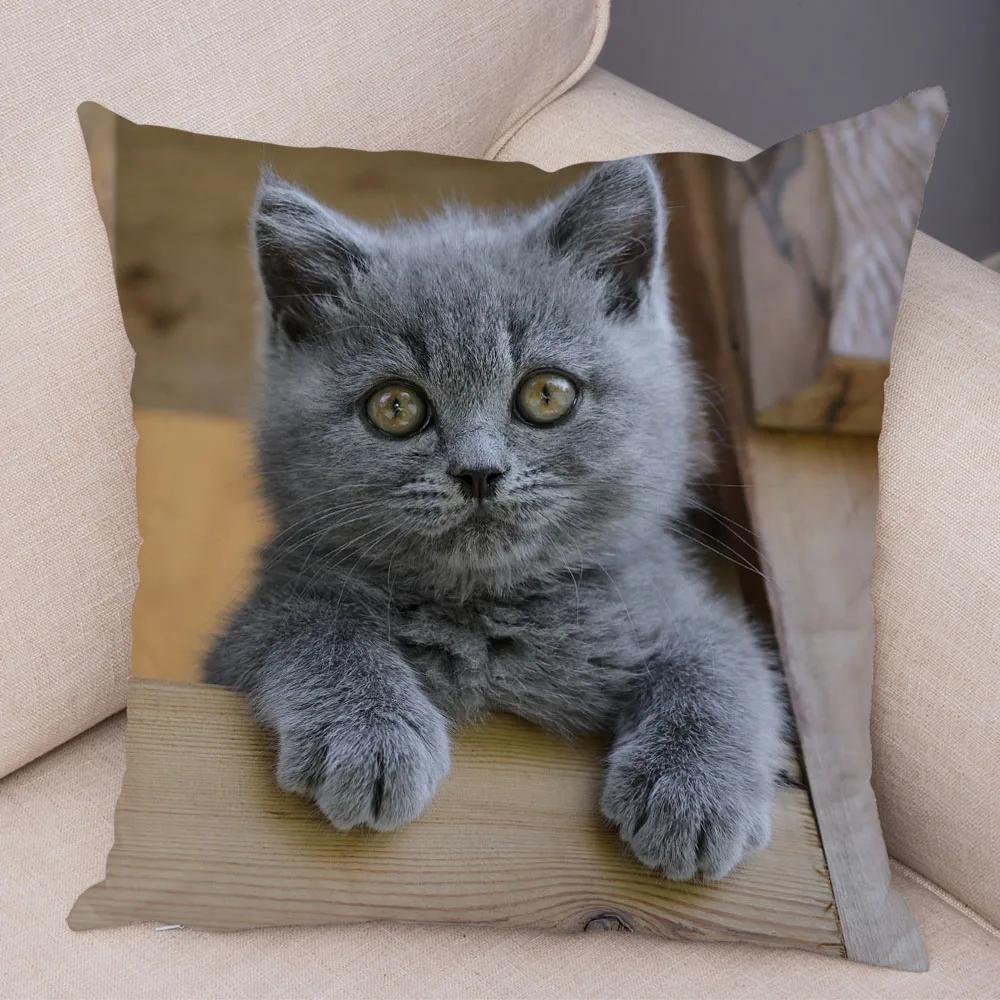 Русская голубая Британская короткошерстная Наволочка Декор Милый кот Домашнее животное Животное Наволочка Мягкий плюшевый Чехол для подушки для машины Дивана Дома