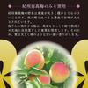 Ichifuji no Ama Ume Pickled Plums with Shiso Reduced Salt Kishu Nanko Ume Fully Ripe Large Size 1kg Domestic Wakayama
