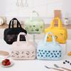 Trendy Fruit Salad Lunch Bag Insulated Lunch Tote with Zipper Leakproof Thermal Cooler Bag for School Office Food Lunchbox