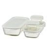 HARIO Stackable Glass Container Mini Square Set of 5 Heat-Resistant + Bowl, (KSTL-3508-OW)