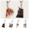 Funny Cat Meme Pendant Fashion Squabbling Cat Keyring Cute Dialogic Cat Keychain Backpack Decor