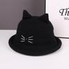 Autumn and winter simple and versatile face small bucket hat women's outdoor cold and warm plush knitted basin hat bucket hat