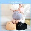 Toy Cat Plush Animal Stuffed Doll Cartoon Bedroom Decoration Kids Gift Cute