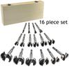 16-Piece Woodworking Drill Set: Includes Round Punch, Hinge Drill, Multi-Tooth Flat Wing Drill, Reamer & Door Lock Tools.