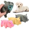 Bite Teeth Cleaning Pets Accessories Rubber Sound Pig Dog Chew Toys Latex Pet Chew Toys Squeak