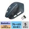 Sanwa Supply Lightweight Silent Wireless Ergonomic Combo Mouse 5 (Rechargeable, Buttons) MA-EWBS536BL
