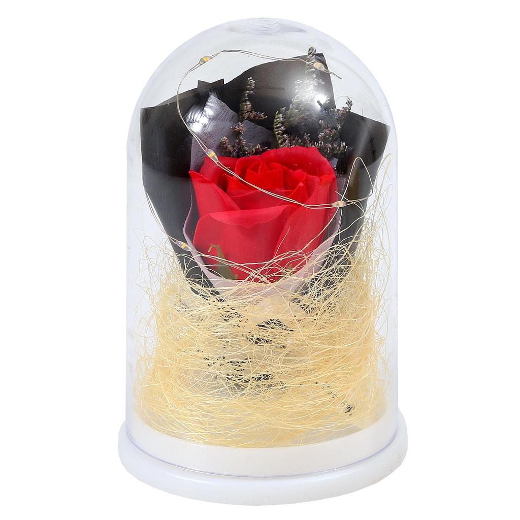 Led Glow Eternal Flower Стеклянная крышка Подарок на день рождения Девочке День матери День святого Валентина День учителя Моделирование Роза