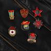 Soviet Rice Ear Star Brooch: Unisex Party Emblem Medal Pin