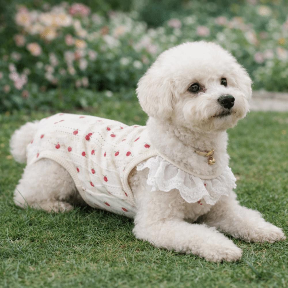 Bow Print Dog Pajamas Breathable Flying Sleeve Wrap Belly Suit Full Belly Protection Comfortable Dog T-Shirt Outdoor Activities
