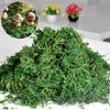 High Quality Artificial Moss Lichen Simulation Green Plants Fake Flowers Moss Micro Landscape Home Garden Decor 20g/50g/100g