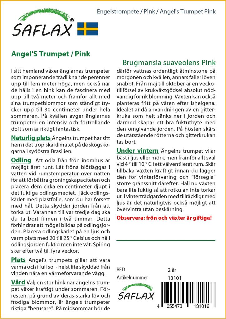 SAFLAX Angel's Trumpet Pink - 10 семян - Brugmansia suaveolens Pink