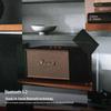 Marshall Беспроводная Bluetooth-колонка Stanmore III, штекер CN (адаптер в комплекте)