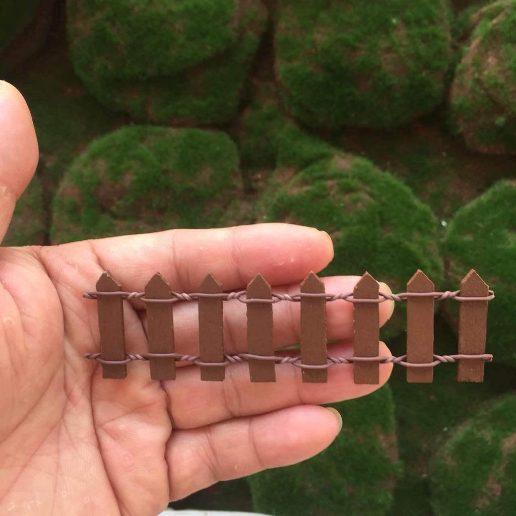 Набор из восьми мини-суккулентов на деревянном заборе