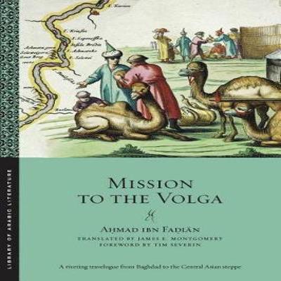 Научно-популярная литература – История и политика