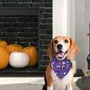 New pet drool scarf Halloween festive atmosphere decoration cat dog triangle scarf pet fun supplies dog collar cat accessories