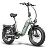 Fafrees FF20 Polar Folding All Terrain Electric Bicycle 500W 48V20.8Ah MTB E-Mountain Bike Outdoor 20 Inch Fat Tires Electic Bike for Adult