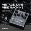 Strymon/El Capistan V2 El Capistan Tape Echo