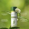 Biotique Biotoque Bhringraj Лечебное масло для волос против выпадения волос 200 мл