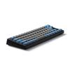 LEOPOLD FC660MBT GRAYBLUE Японская раскладка Kana Ari Компактная с клавишами-стрелками 70 клавиш Переключатель с возможностью горячей замены Питание от батареек AAA Новейшая модель CHERRY MX2A