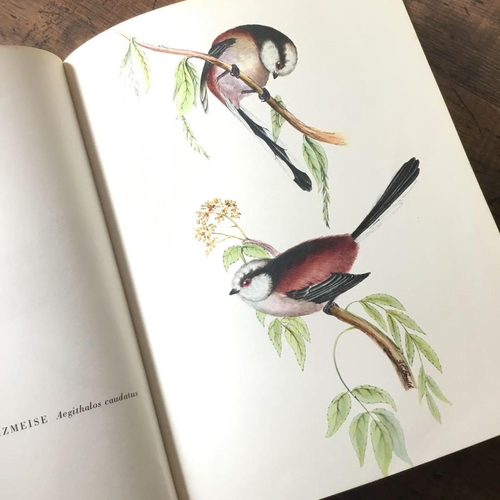 [Б/У] Иностранные книги, немецкие определители птиц, старые книги, винтажные книги