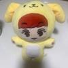 Использована [Купить сейчас] Плюшевая игрушка EXO Чанёль 24 см