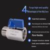 304 Stainless Steel Mini Ball Valve