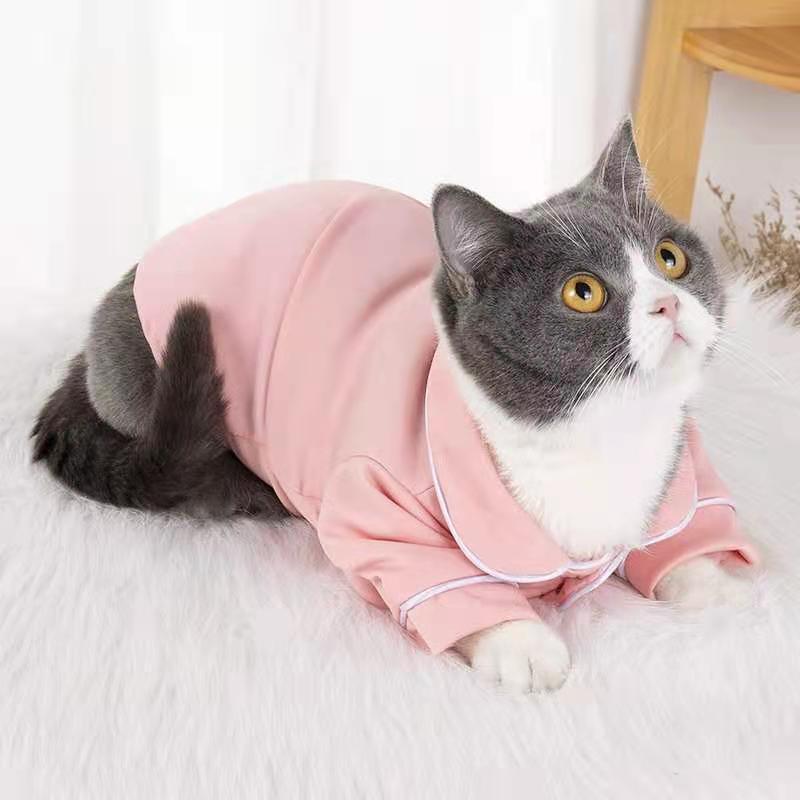 Sphinx & Pet Apparel: Fall Wear for Hairless Cats and Dogs