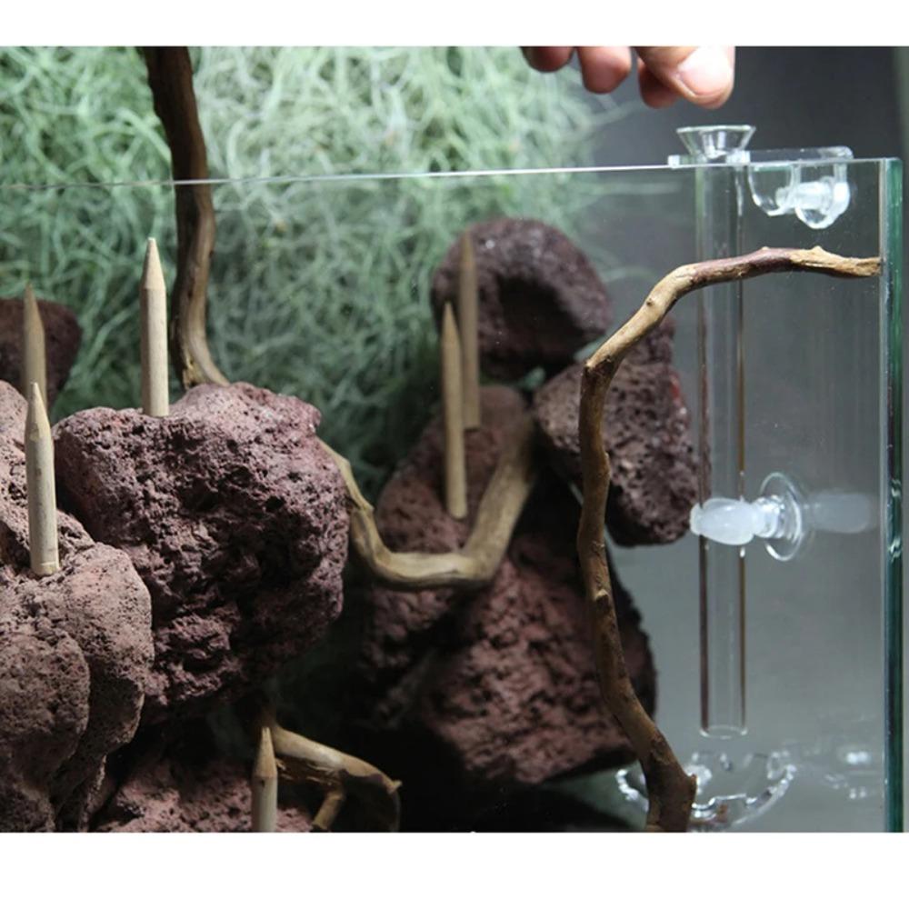 Присоска Приспособление для всасывания Акриловая трубка для кормления Новая прозрачная стеклянная трубка для кормления