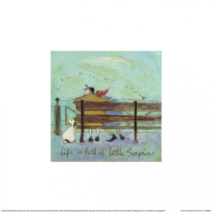 Sam Toft Life Is Full Of Surprises Poster