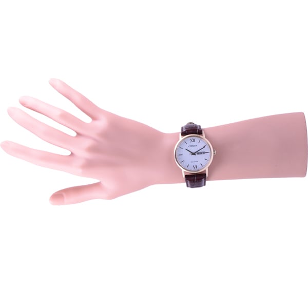 Citizen Men's BM9012-02A ( Watch CITIZEN COLLECTION Eco-Drive Day-Date Men's) Round Watch Brown