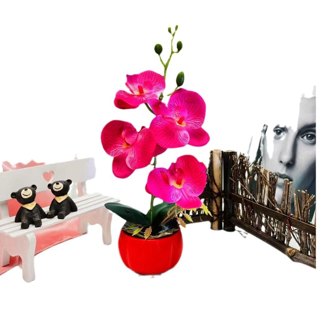 Artificial Decor Phalaenopsis With Highquality Materials For Gift And Use Event