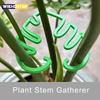 2PCS Plant Stem Folding Frame No Stake Trellis Plant Stem Support Branches Stem Organizer Garden Tools