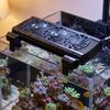 Variable Speed Fish Tank Chiller Fan 1/2/3/4/5/6 Head Aquarium External Fan  Shrimp Tank