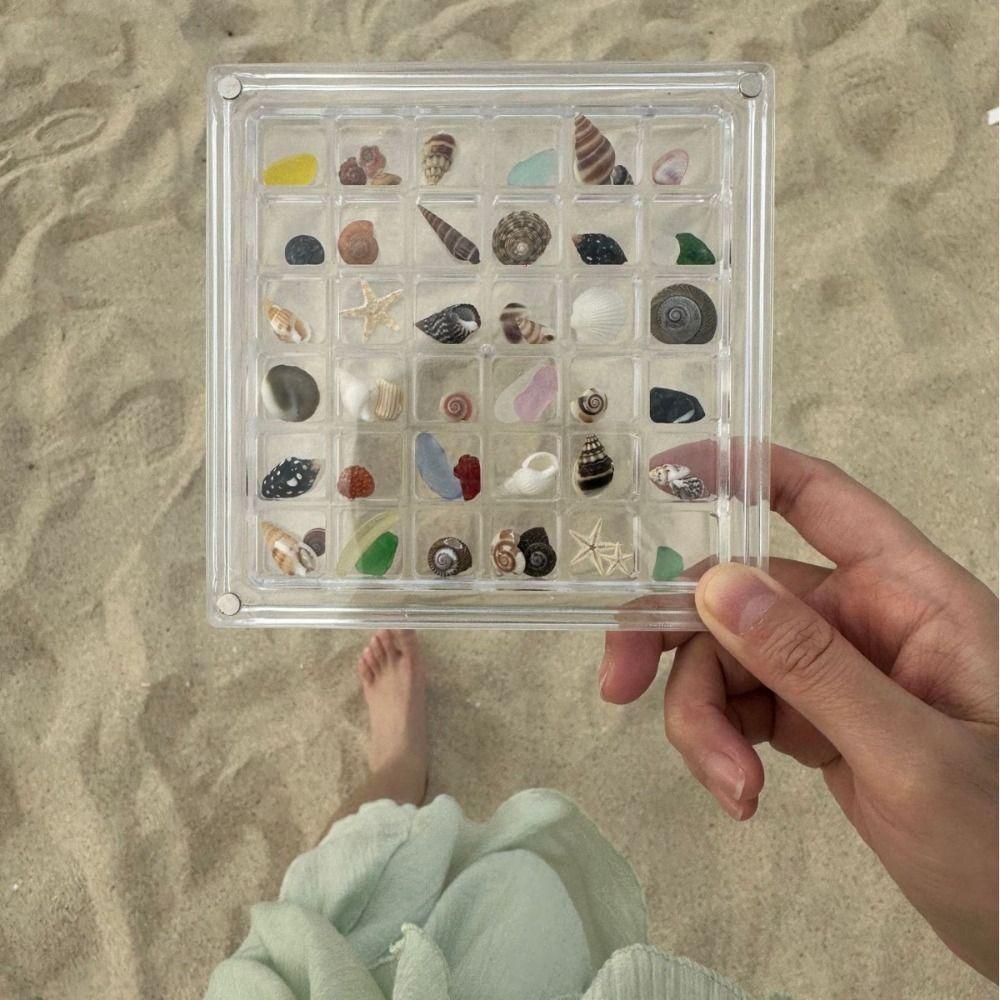 Acrylic Seashell Storage Box Multifunctional Beads Collection Box  Jewelry