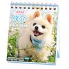 2026 Calendar Shunsuke Weekly (Mini Calendar)