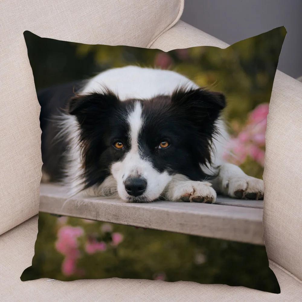 Soft Plush Cute Pet Animal Cushion Cover Scotland Border Collie Pillowcase for Sofa Car Decor Dog Printed Pillow Case