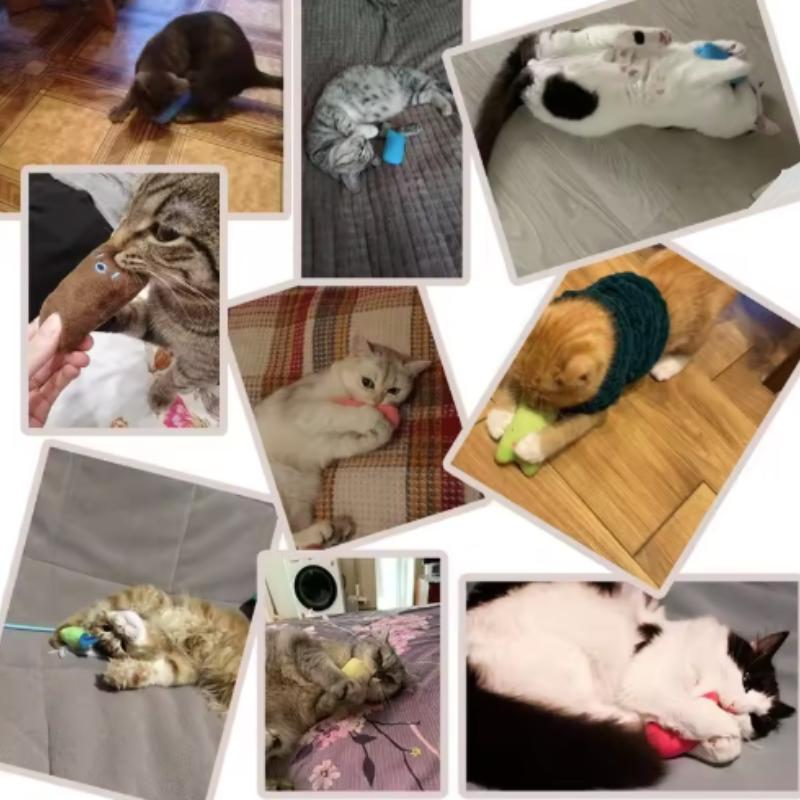 Игрушки из кошачьей мяты для шлифовки зубов, забавные интерактивные плюшевые игрушки для кошек, котенок, жевательная вокальная игрушка, когти, укус большого пальца, кошка, мята для кошек