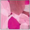 Cut Goose Feathers - Pink Monochromatic - 10g Bag - Length 6 Cm