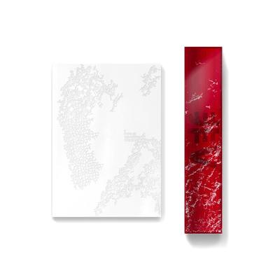 В (БТС) – V TYPE Официальный фотобук и набор постеров