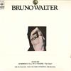 LP Record BRUNO WALTER, COLUNBIA SYMPHONY ORC - Mahler: Symphony No.1 Titan SONC10453 CBS SONY Japan Classical Used